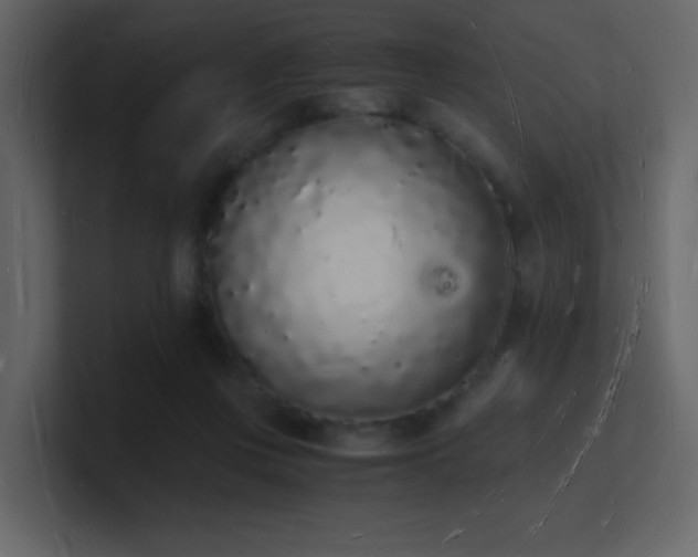 X0000101670359200807101405