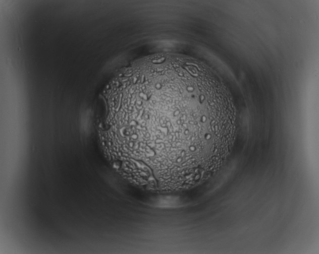 X0000101670361200807101405