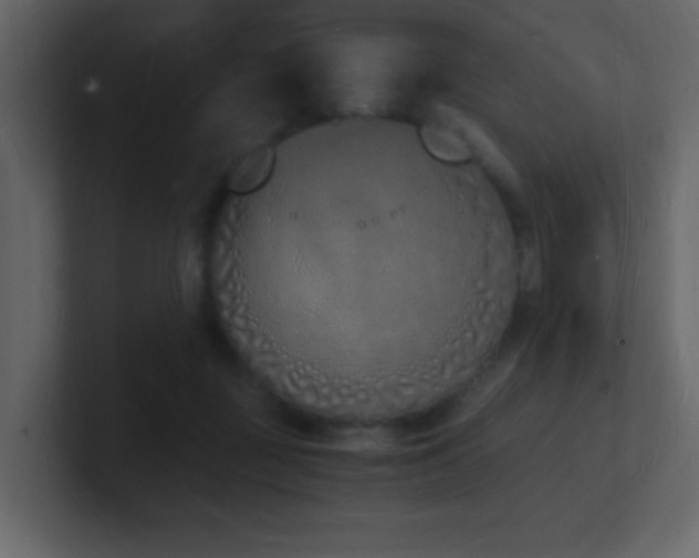 X0000101670363200807101405