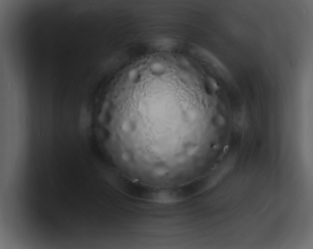 X0000101670365200807101405