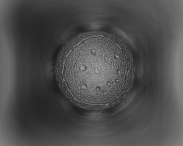 X0000101670366200807101405