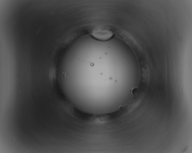 X0000101670368200807101405
