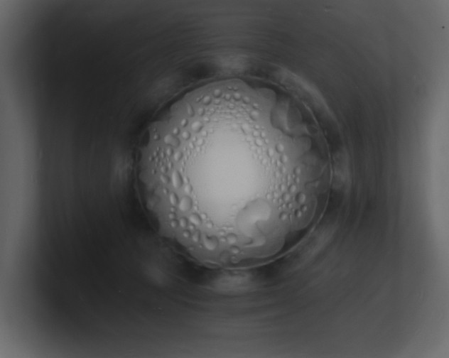 X0000101670369200807101405