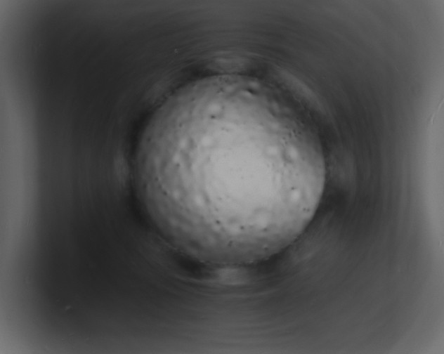 X0000101670371200807101405
