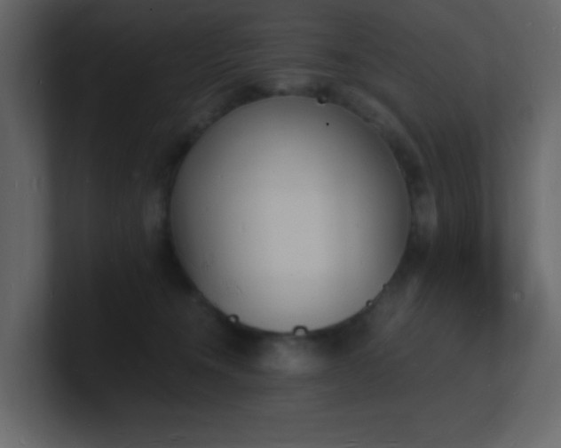 X0000101670372200807101405