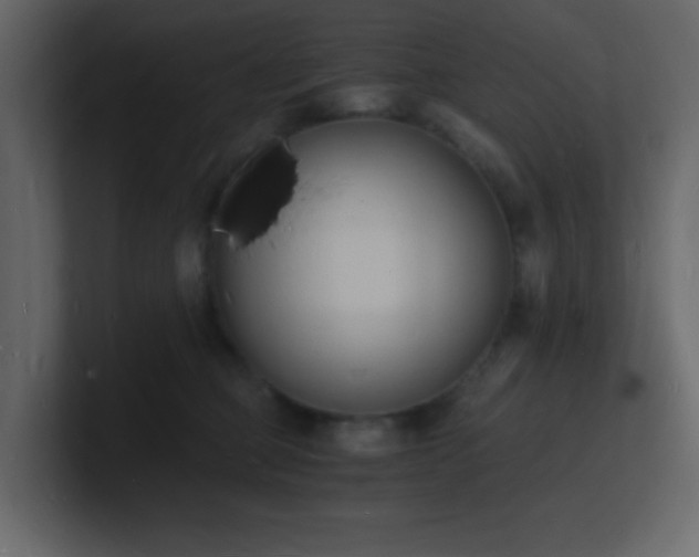 X0000101670373200807101405