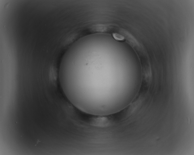 X0000101670374200807101405