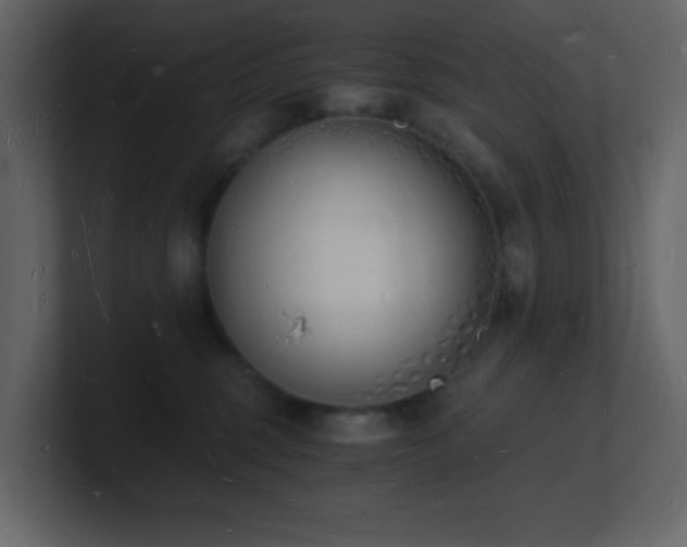 X0000101670375200807101405