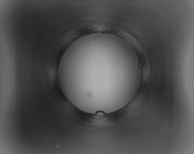 X0000101670376200807101405