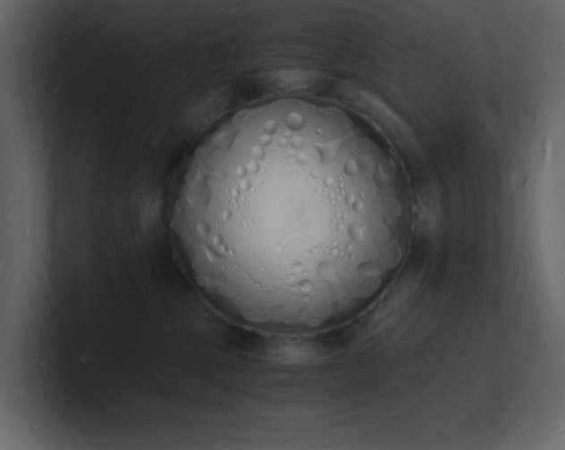 X0000101670377200807101405
