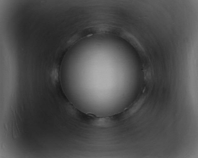 X0000101670382200807101405