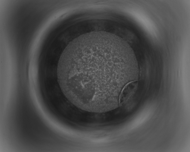 X0000101670383200807101405