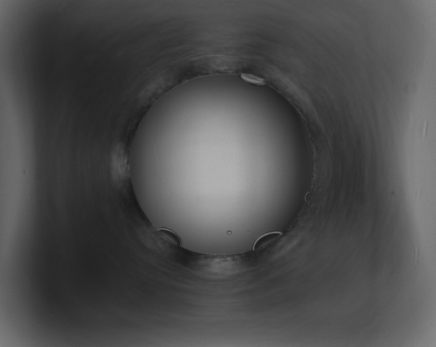 X0000101670384200807101405