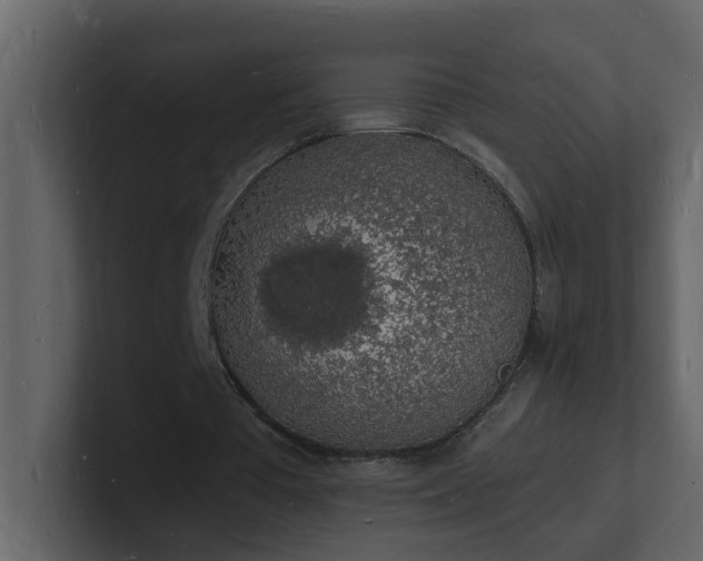 X0000101670385200807101405