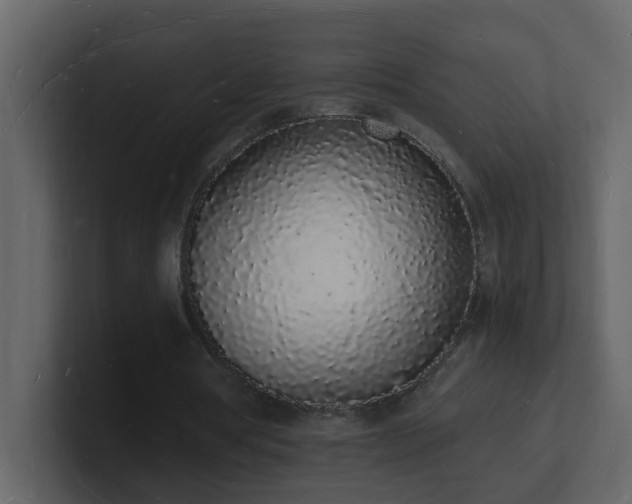 X0000101670386200807101405