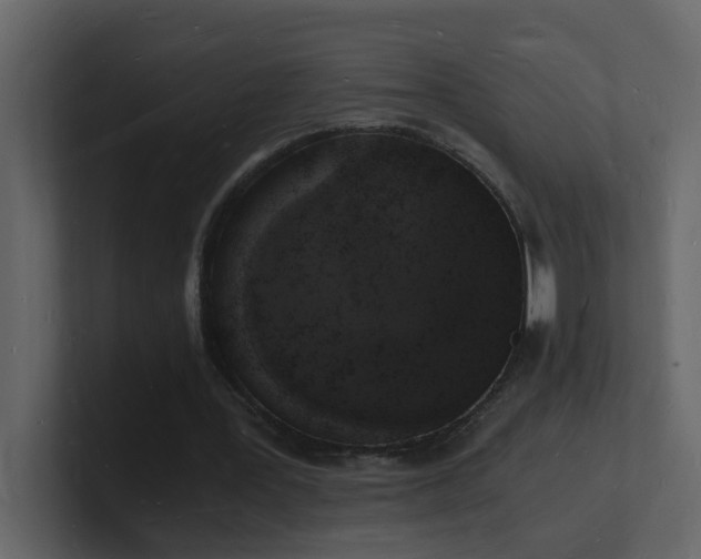 X0000101670387200807101405