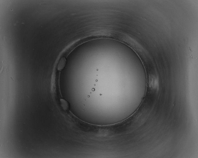 X0000101670388200807101405