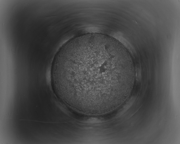 X0000101670390200807101405