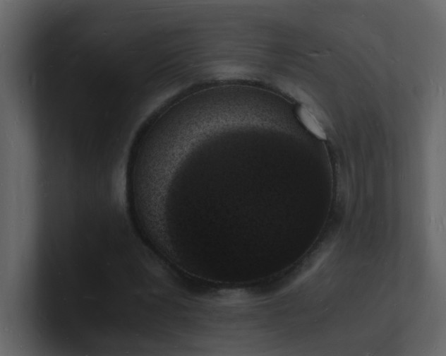 X0000101670391200807101405
