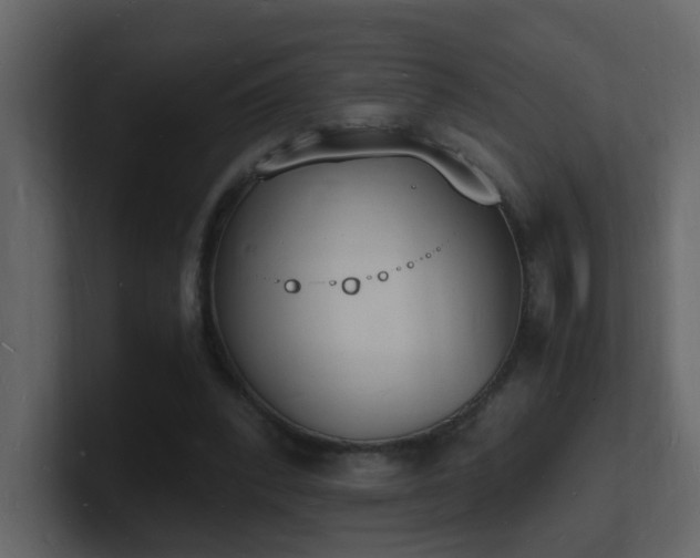 X0000101670392200807101405