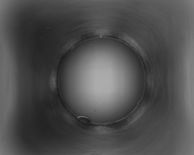 X0000101670393200807101405