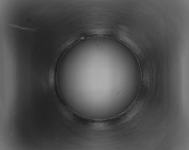 X0000101670394200807101405