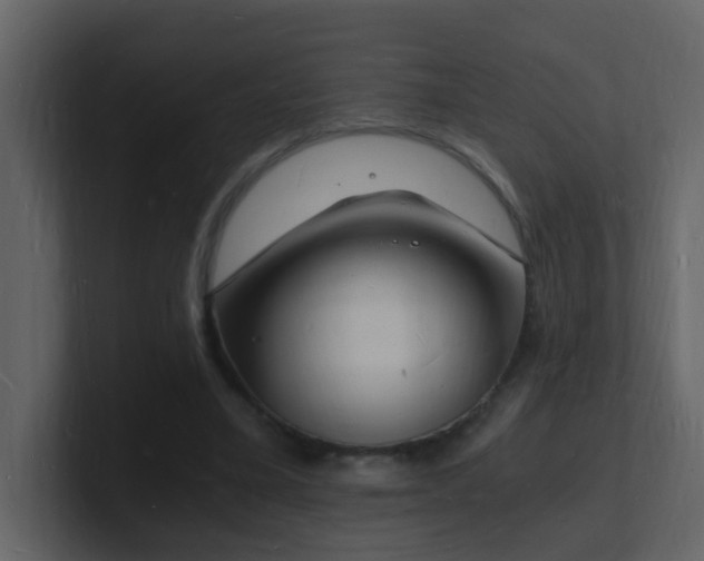 X0000101670395200807101405