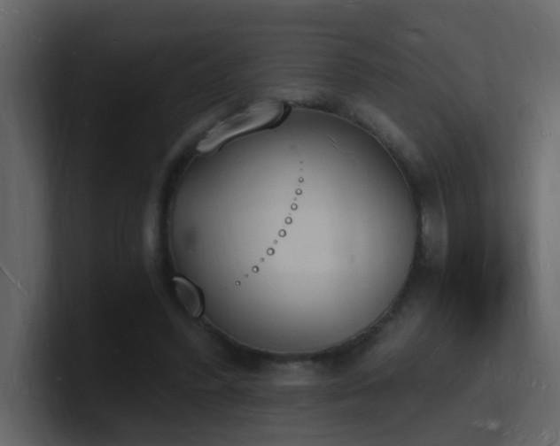 X0000101670396200807101405