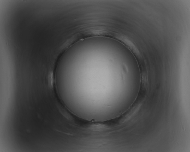 X0000101670397200807101405