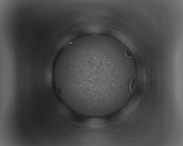 X0000101670399200807101405