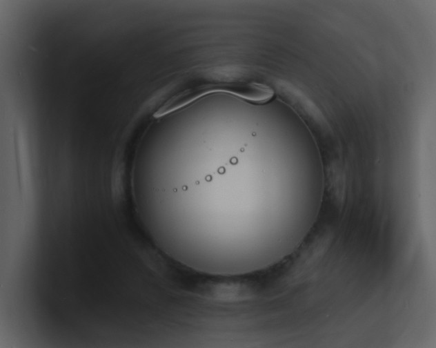X0000101670400200807101405