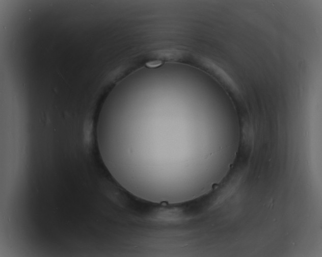 X0000101670403200807101405