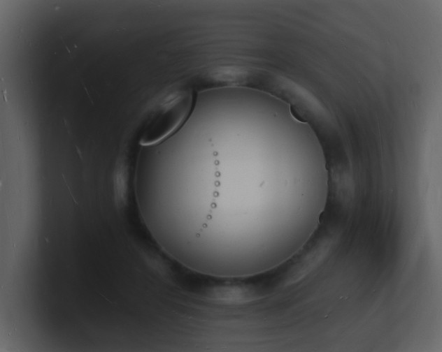 X0000101670404200807101404