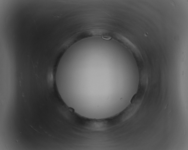 X0000101670405200807101404