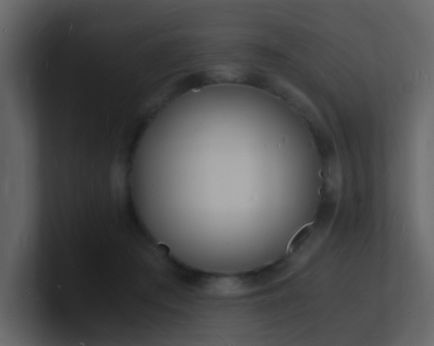 X0000101670409200807101404