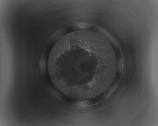 X0000101670410200807101404