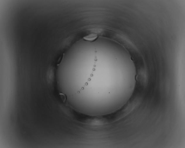X0000101670412200807101404