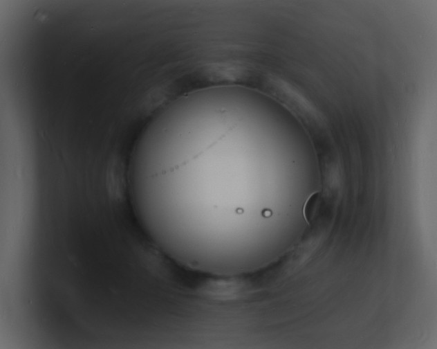 X0000101670414200807101404