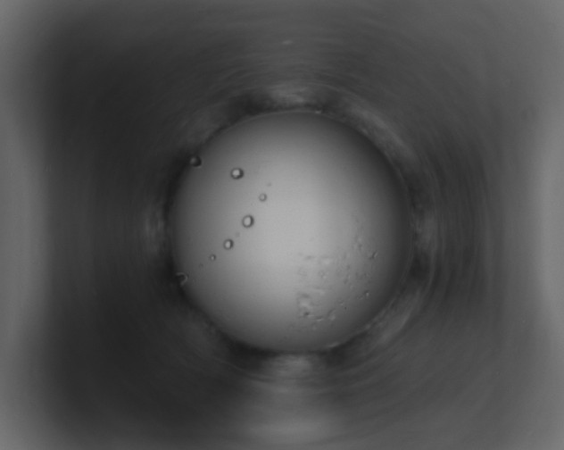 X0000101670418200807101404