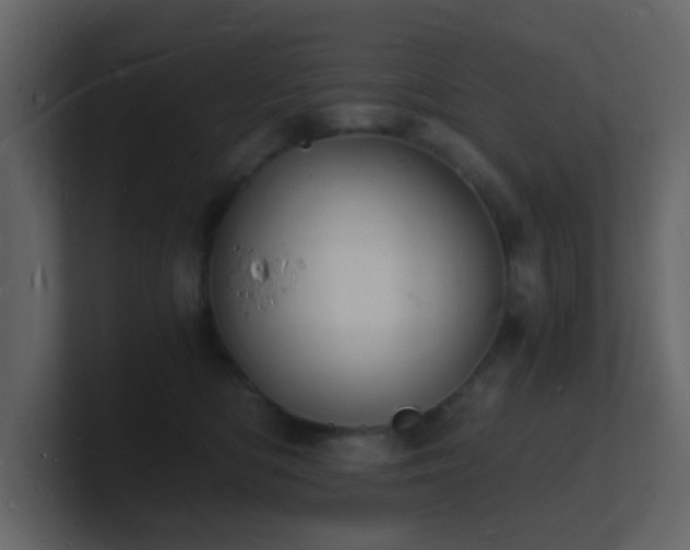 X0000101670422200807101404