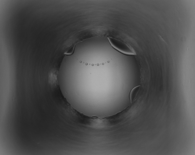X0000101670432200807101404