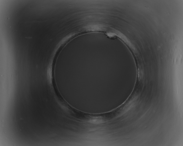 X0000101670438200807101403