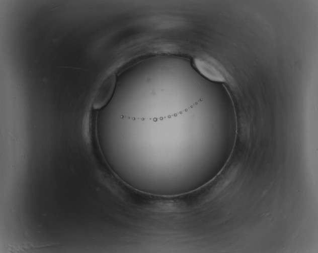 X0000101670439200807101404