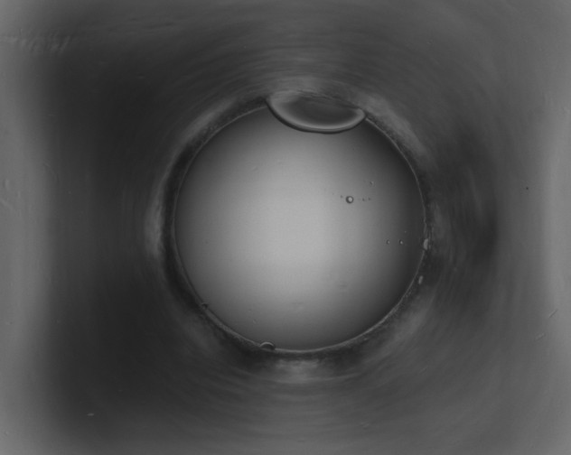 X0000101670440200807101404