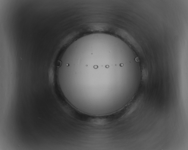 X0000101670444200807101404