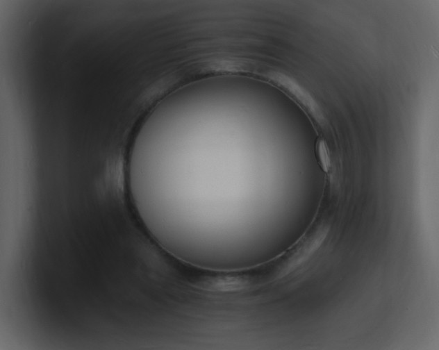 X0000101670445200807101404