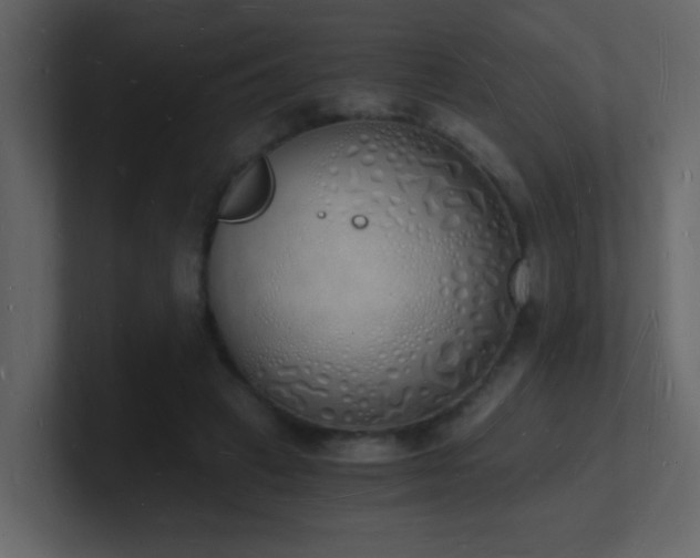 X0000101670449200807101404