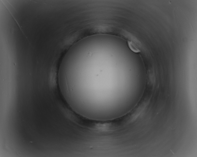 X0000101670450200807101404
