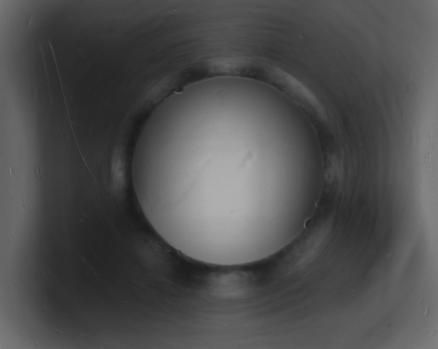 X0000101670452200807101404