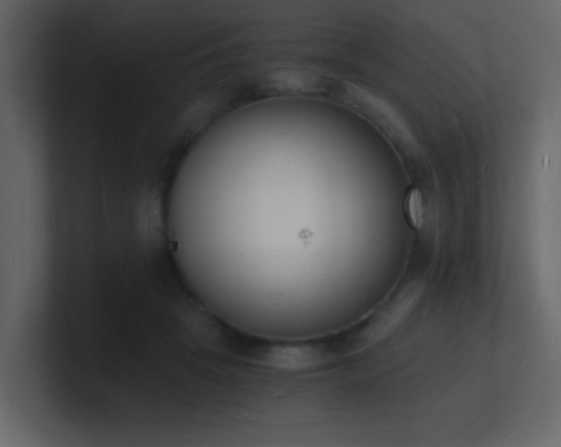 X0000101670457200807101404